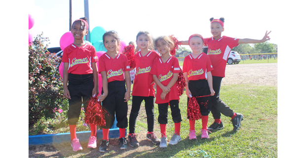 6U Comets